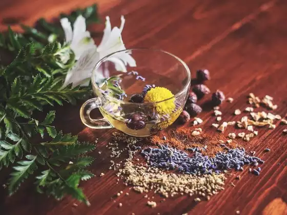 Ayurvedic Perspectives on Digestive Health