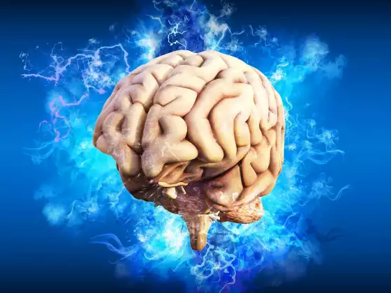 LMTV #203: Reframing the Negative Mind (Elizabeth Kipp)