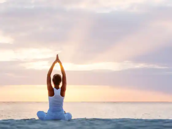 Módulo 11 (Anatomia Sutil) - 200 HR de Treinamento para Professores de Yoga
