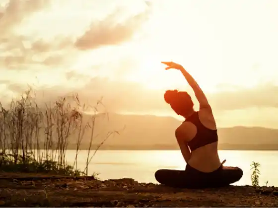  Módulo 15 (Mindfulness) - 200 HR de Treinamento para Professores de Yoga