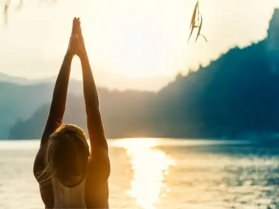  Módulo 7 (Saudações ao Sol) - 200 HR de Treinamento para Professores de Yoga